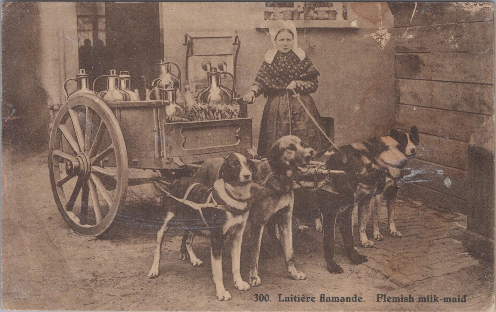 /Belgium/Places/BE_Profession_1900-1961_Laitiere flamande.jpg